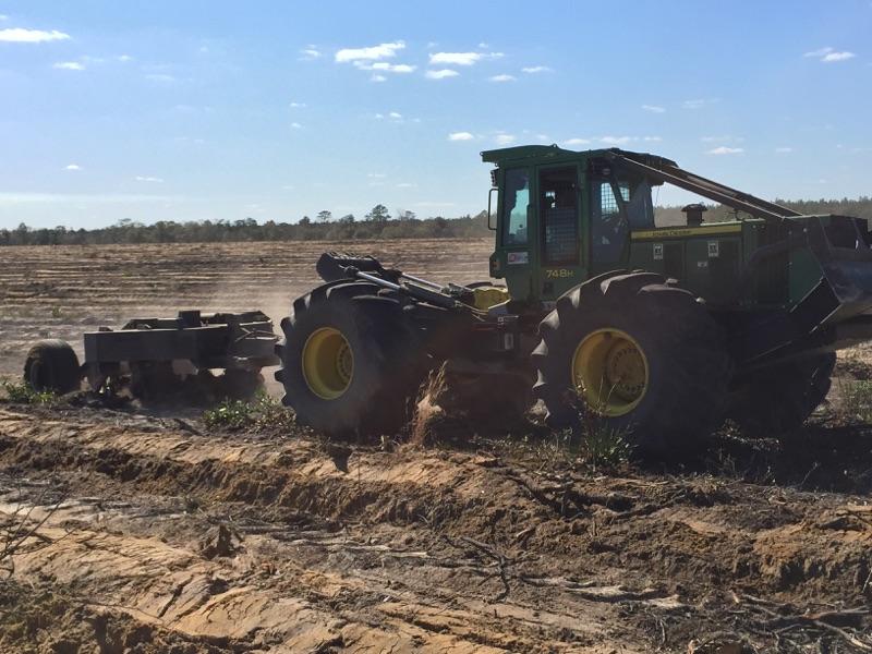 forrestry site prep